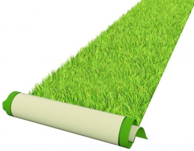 Green-carpet2
